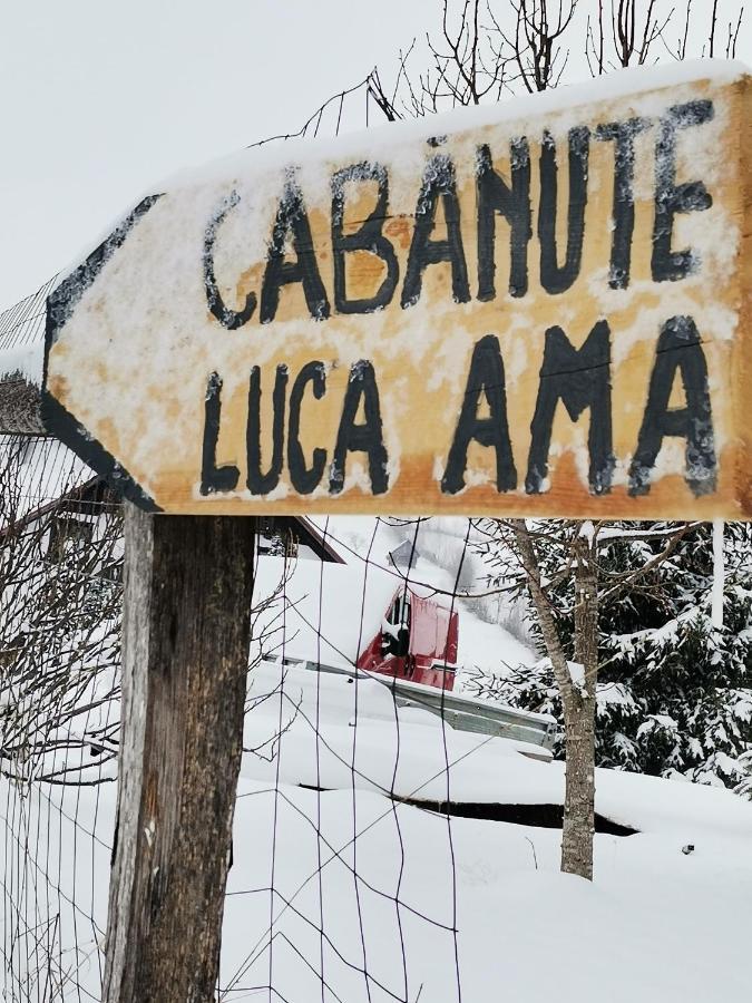Villa Cabanute Luca Ama Bran Braşov Esterno foto