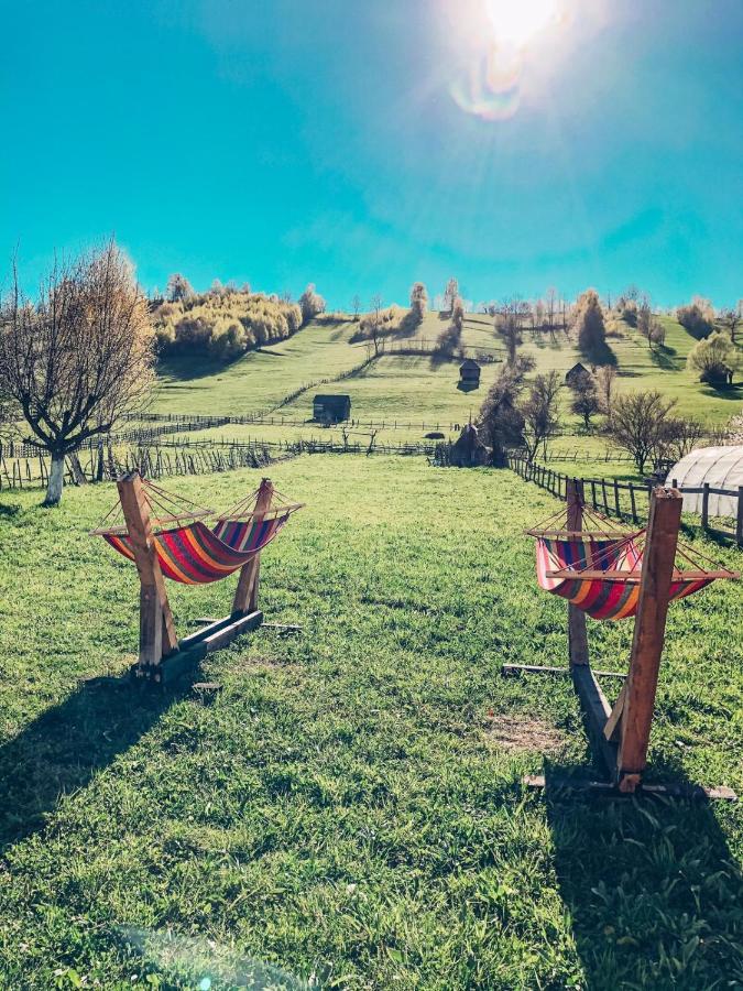 Villa Cabanute Luca Ama Bran Braşov Esterno foto