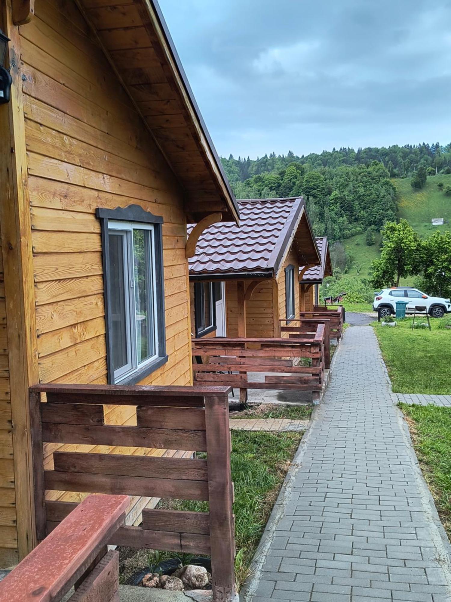 Villa Cabanute Luca Ama Bran Braşov Esterno foto