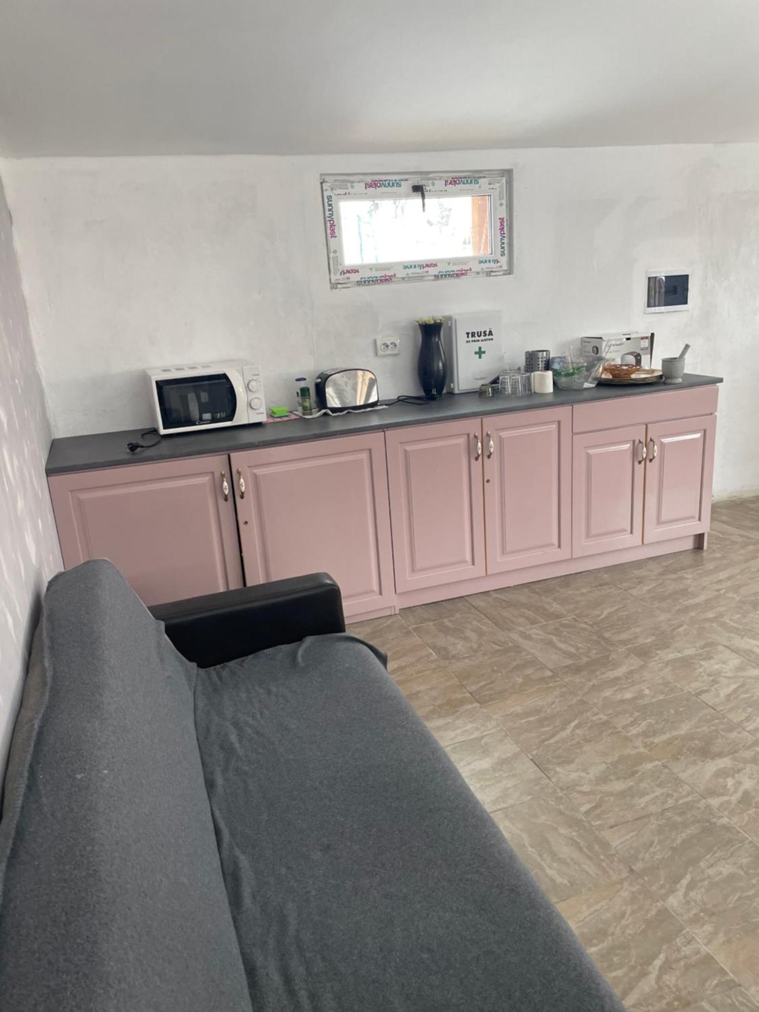 Villa Cabanute Luca Ama Bran Braşov Esterno foto