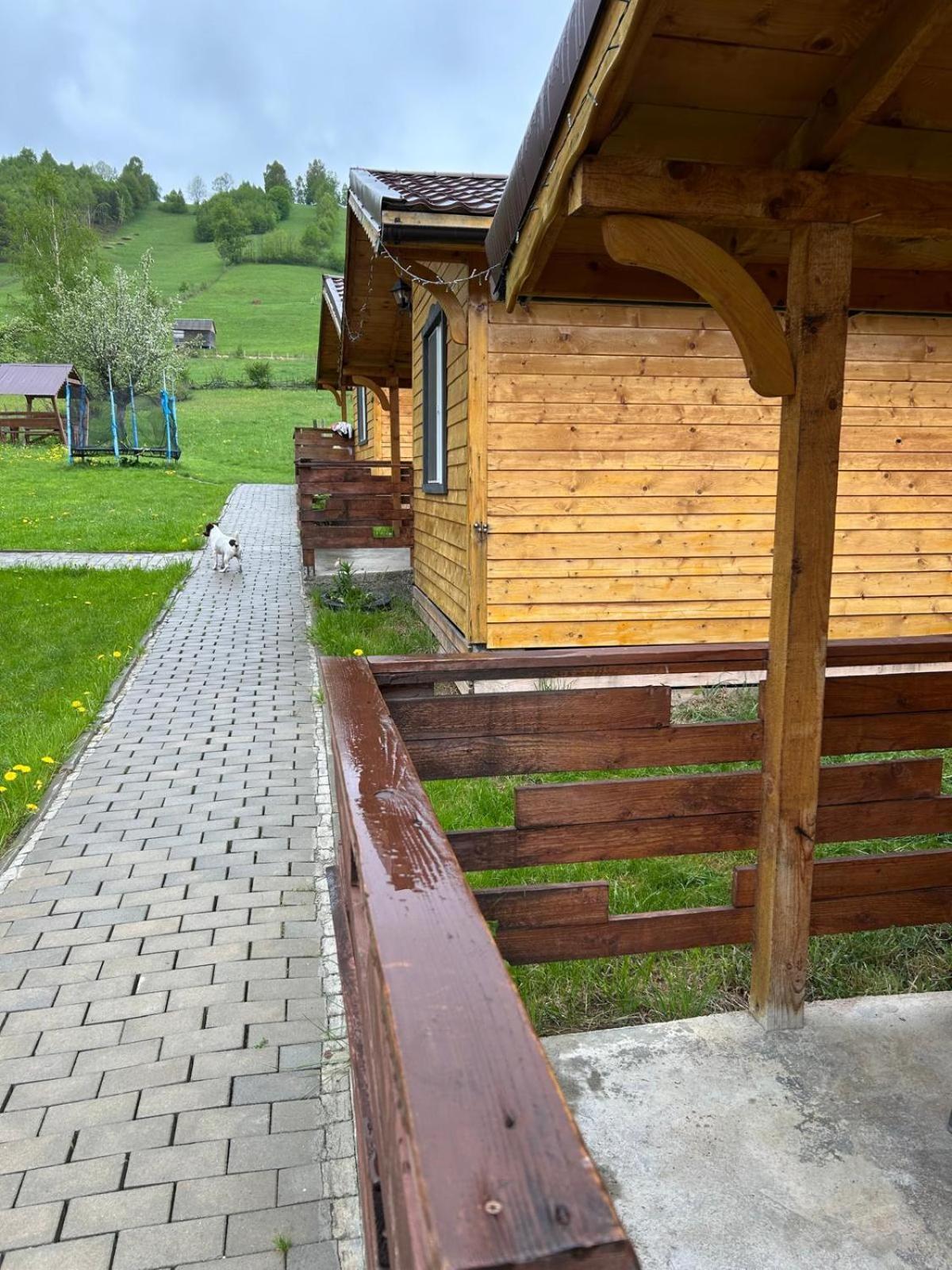 Villa Cabanute Luca Ama Bran Braşov Esterno foto