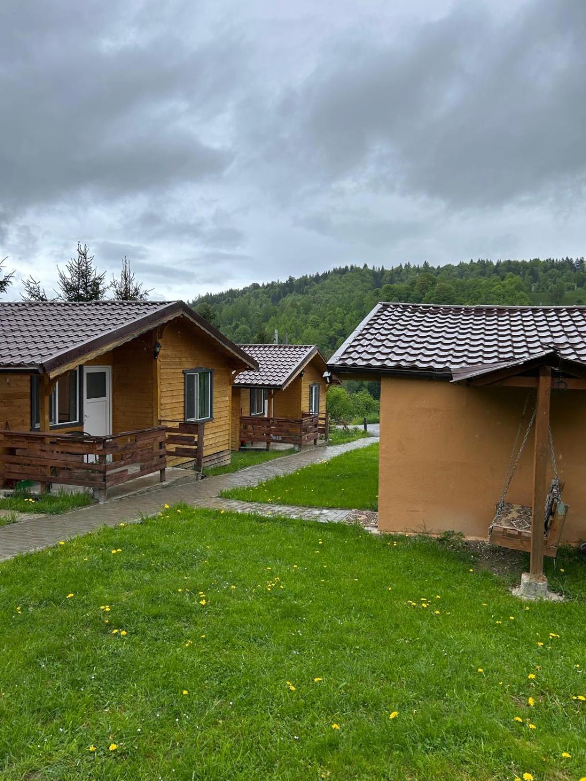 Villa Cabanute Luca Ama Bran Braşov Esterno foto